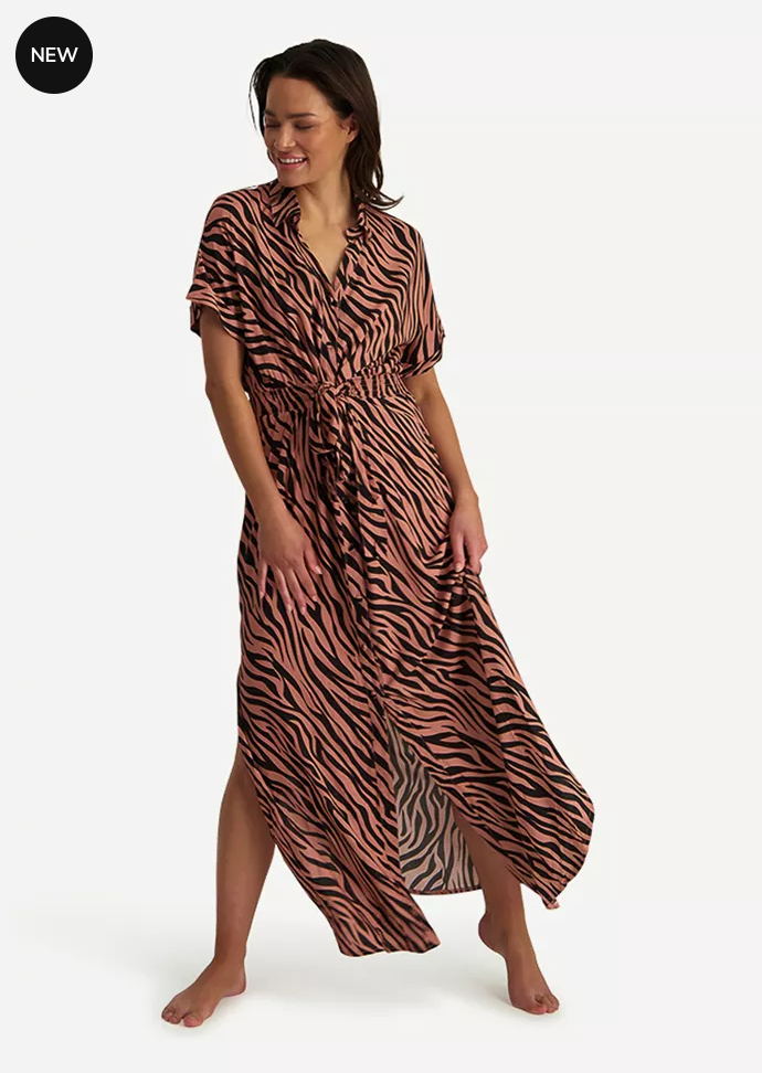 Zebra 2025 maxi dress