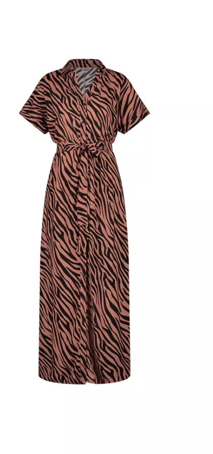 BEACHLIFE Rose Zebra maxi dress